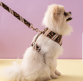 Fendi tuig + riem