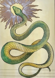 Snake
