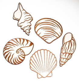 Houten schelpen set