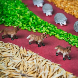 Spy Bottle Bos – Zoekfles voor Kinderen van Petit Boum