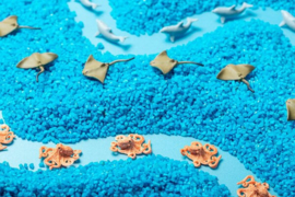 Spy Bottle Sea – Zoekfles voor Kinderen van  Petit Boum