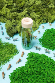 Spy Bottle Jungle – Zoekfles voor Kinderen van  Petit Boum