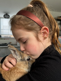 Diadeem breed effen bruin