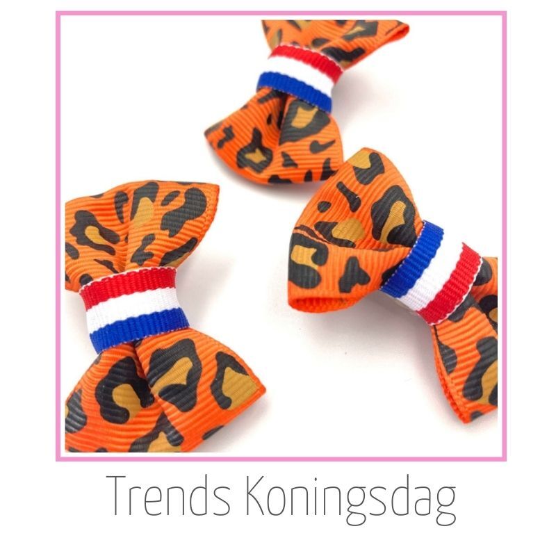 Oranje haaraccessoires voor Koningsdag