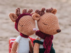 Haakpakket: Rudy & Noëlle