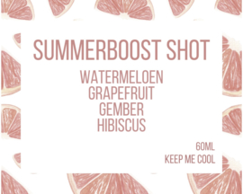 Summerboost shots - Watermeloen, Grapefruit, Gember, Hibiscus