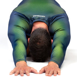 Hayabusa Fusion Rashguard - Blue / Green