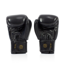 Fairtex BGV19 Deluxe Tight-Fit Boxing Gloves - Black