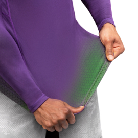 Hayabusa Fusion Rashguard - Purple / Green