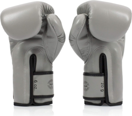 Fairtex BGV14 Microfiber Boxing Gloves - Gray