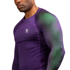 Hayabusa Fusion Rashguard - Purple / Green