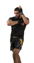 Hayabusa Falcon Muay Thai Shorts - zwart