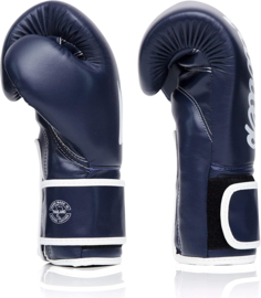 Fairtex BGV14 Microfiber Bokshandschoenen - Blauw