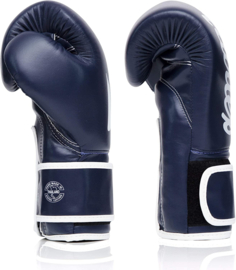 Fairtex BGV14 Microfiber Boxing Gloves - Blue