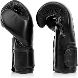 Fairtex BGV14 Microfiber Boxing Gloves - Art Collections - Solid Black