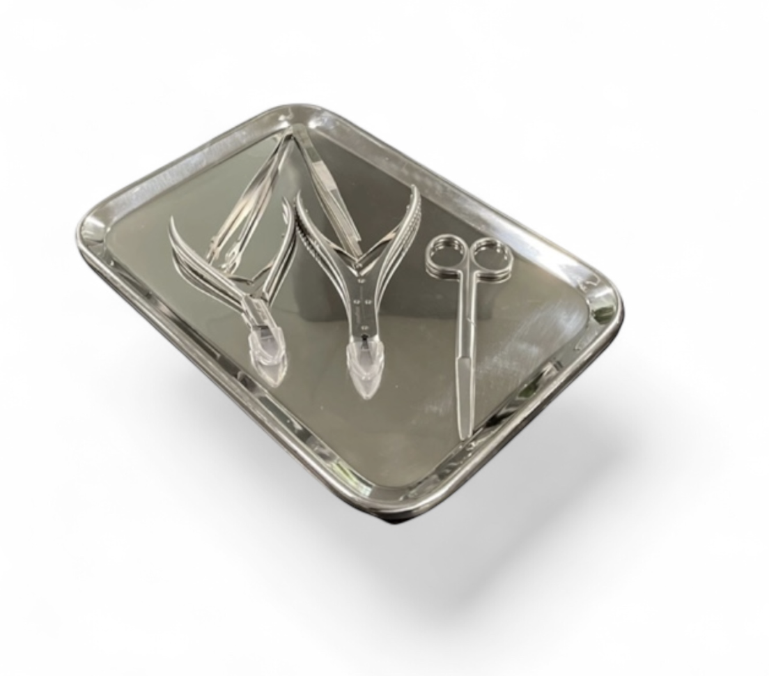 Rvs instrumenten tray