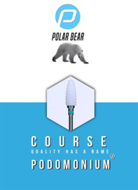 Podomonium Keramische Frees Polar Bear Course