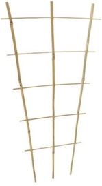 2x Bob het Bamboo trellis