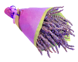 40 Lavendel Bossen met tissue Oogst 2023