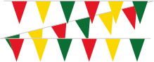 Carnaval vlaggenlijnen puntmodel 20 x 30 cm