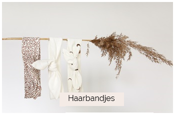 Haarbandjes baby category
