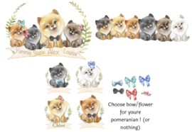 Pomeranian deken | Meerdere opties