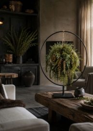 Workshop Botani-Ball
