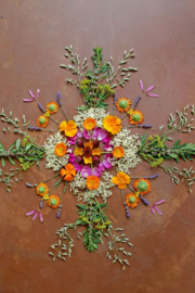 Workshop Petal Patterns