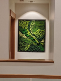 Pre-register XL editie Moss Art