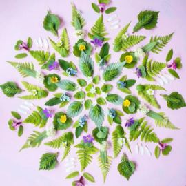Workshop Petal Patterns