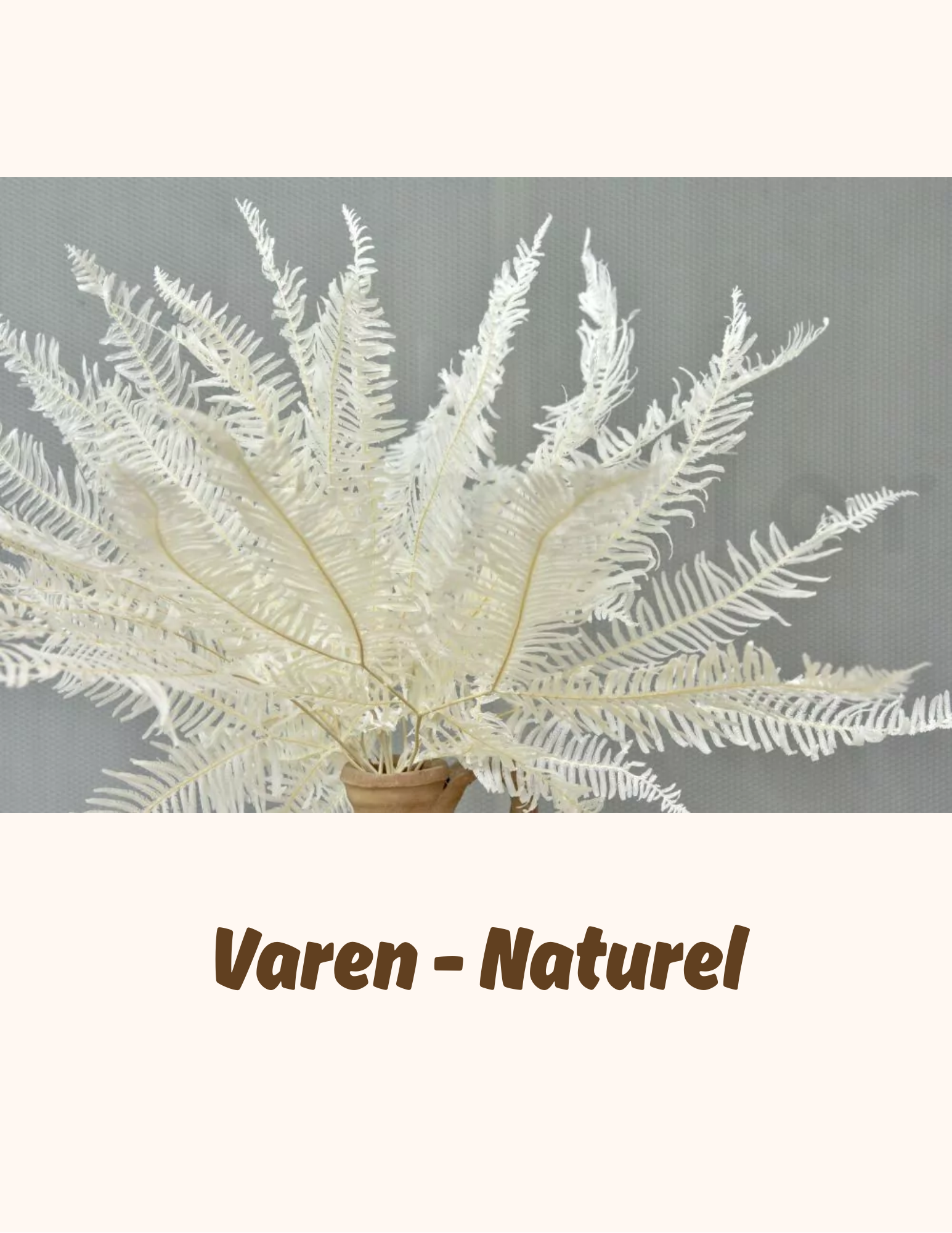 Bloem- en Bladmaterialen