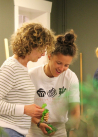 Groene Coupe DIY Pakket
