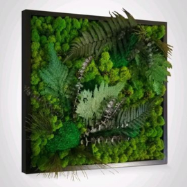 Silent Jungle – Groen zonder gedoe