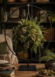 Workshop Botani-Ball