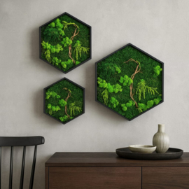 Hexagon DIY Mosschilderij