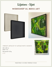 Pre-register XL editie Moss Art