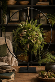 Workshop Botani-Ball