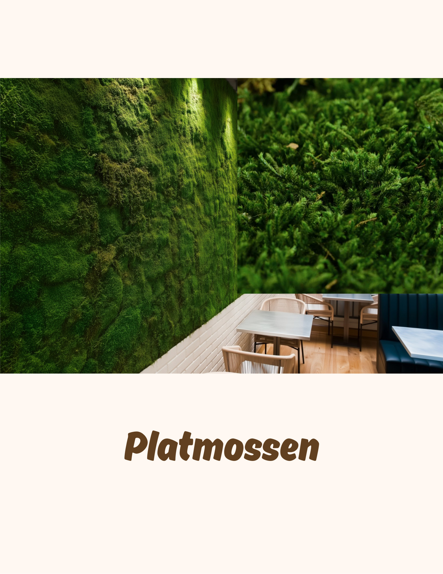 Platmossen