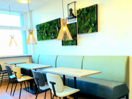 Mosschilderijen voor Docentenkamer