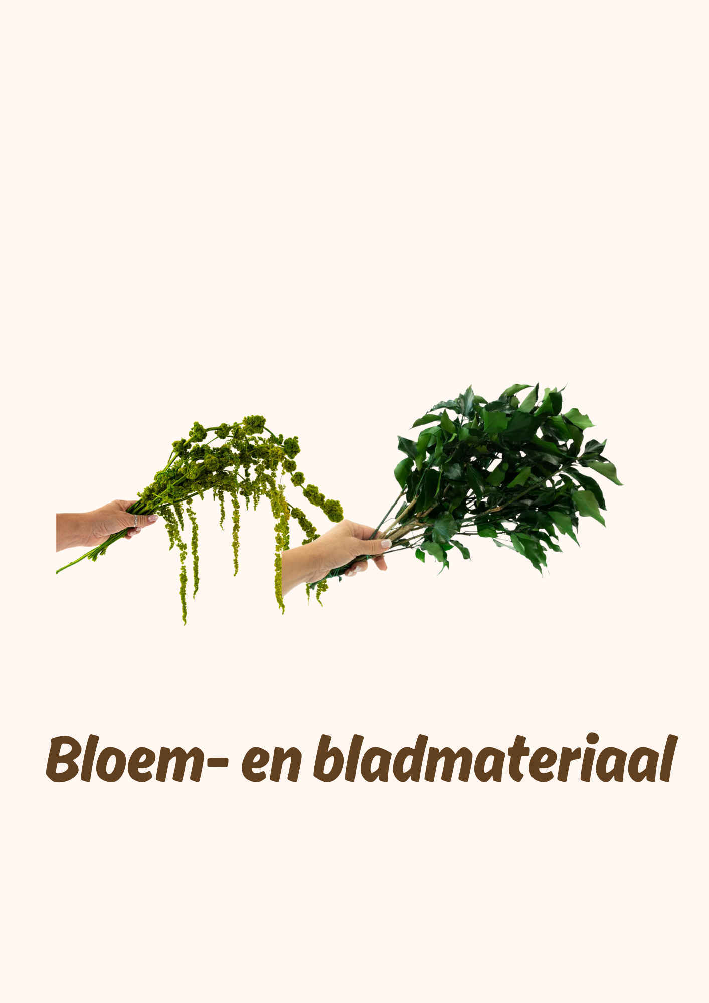 Bloem- en Bladmaterialen