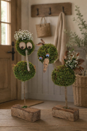 Vrolijke Vogels DIY Pakket