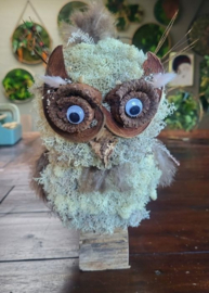 Workshop Mos Uil - BosBaas
