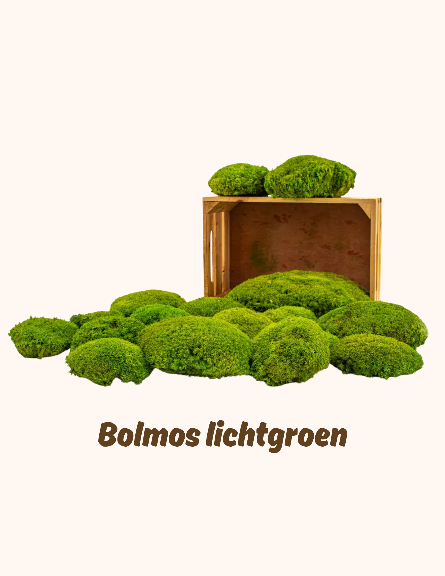 Bolmossen