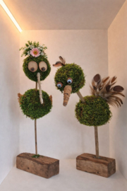 Vrolijke Vogels DIY Pakket