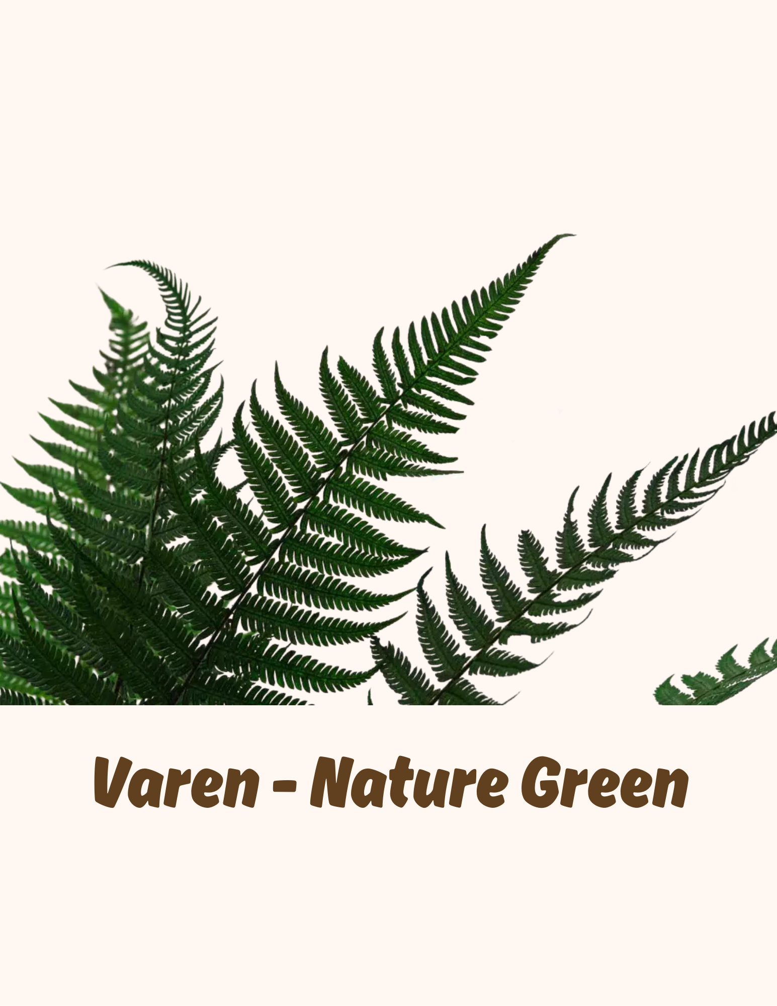 Bloem- en Bladmaterialen