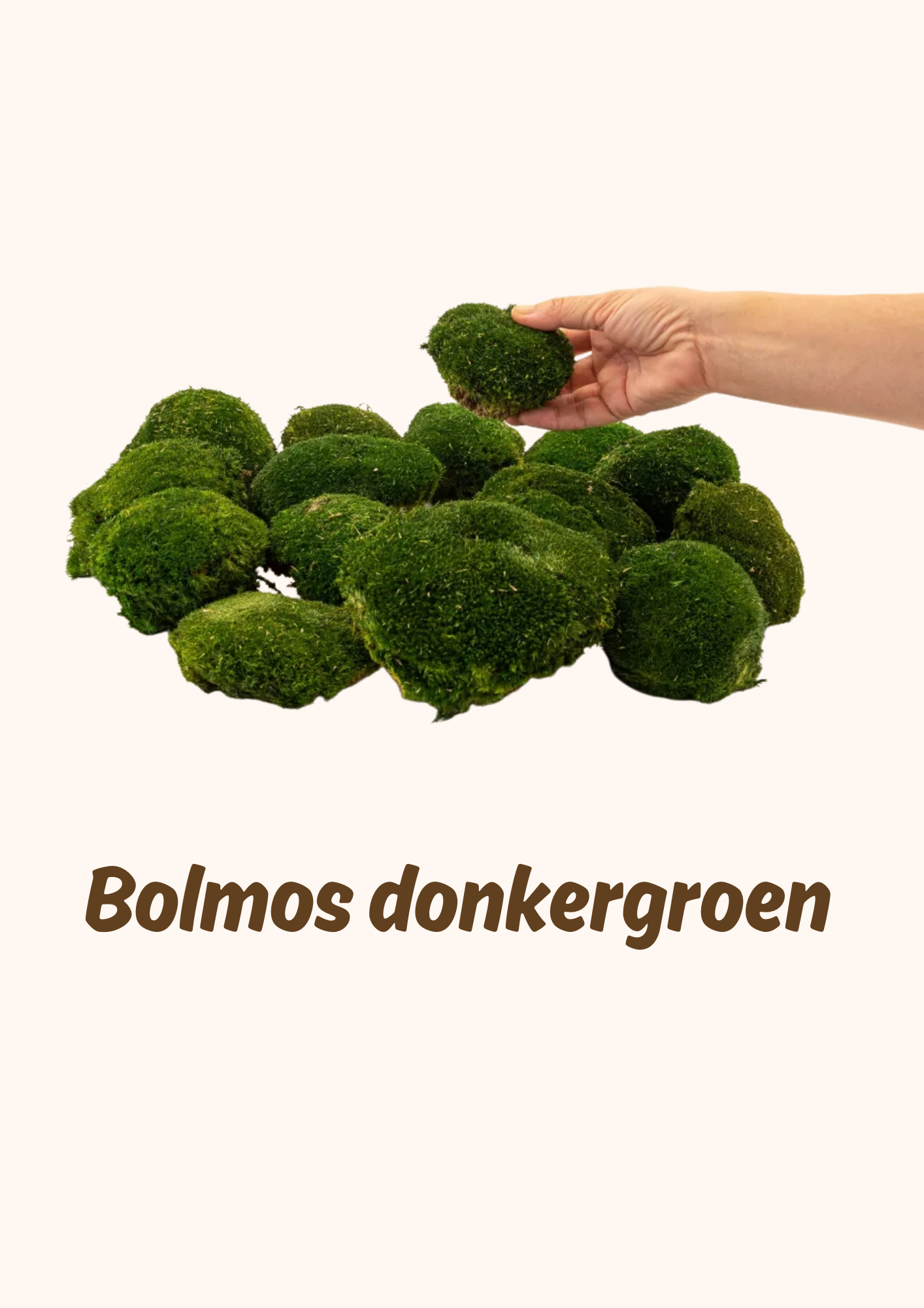 Bolmossen