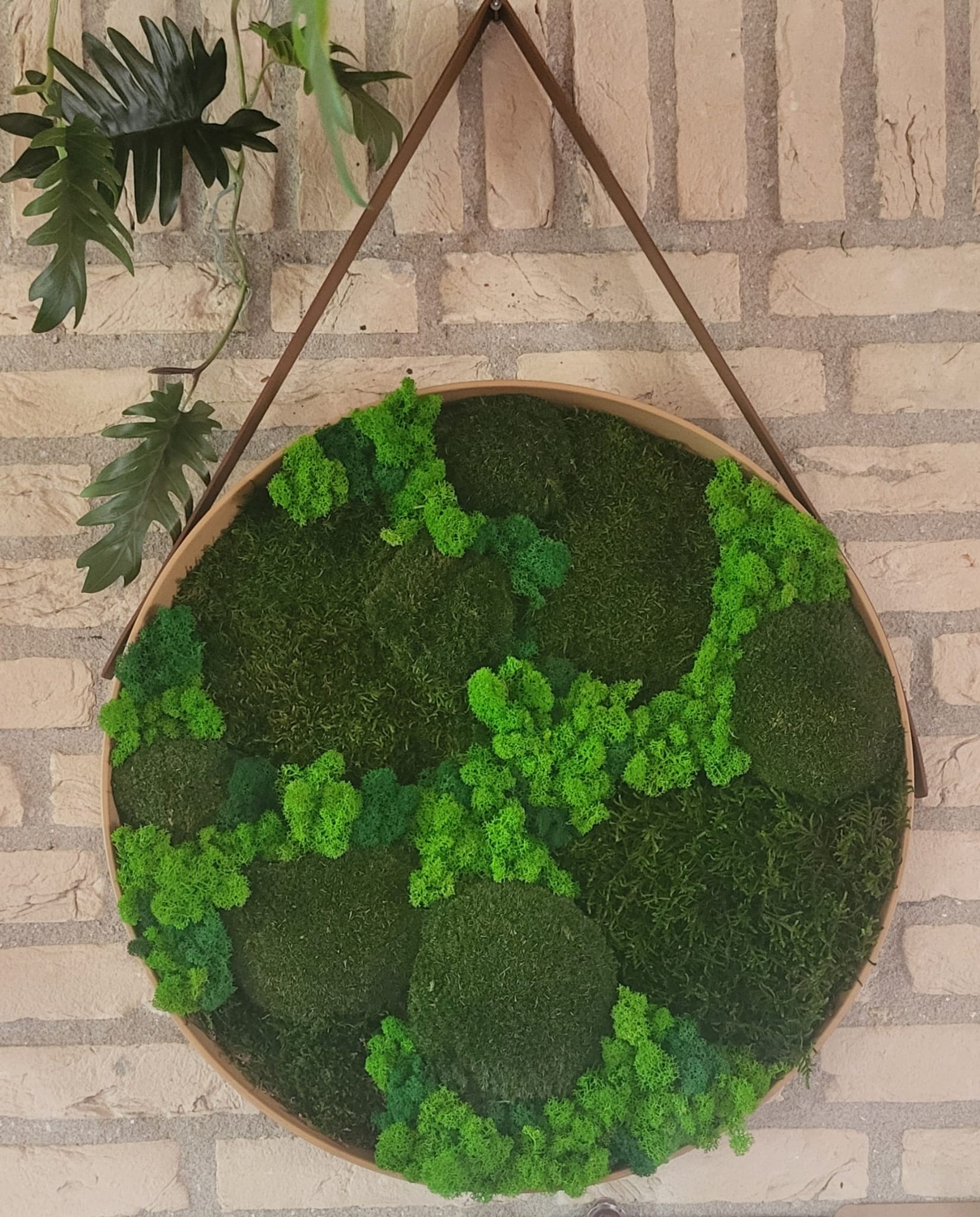 Mos Schilderij Kalme Kracht