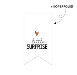 Sticker - Little Surprise | 5 stuks