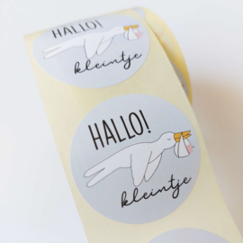 Sticker - Hallo kleintje | 5 stuks