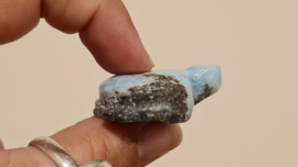 Larimar Schildpadje Medium No.3